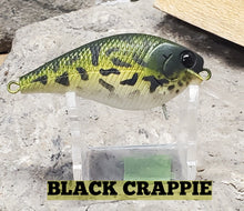Load image into Gallery viewer, Spro Little John MD Crankbait- Dives 6-9ft