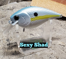 Load image into Gallery viewer, Spro Little John MD Crankbait- Dives 6-9ft