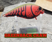 Load image into Gallery viewer, Spro Little John MD Crankbait- Dives 6-9ft