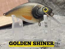 Load image into Gallery viewer, Spro Little John MD Crankbait- Dives 6-9ft